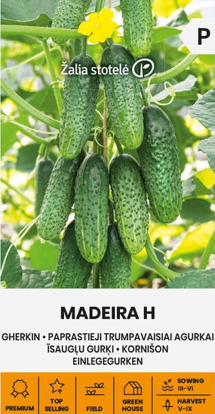 Pepino "Madeira" F1